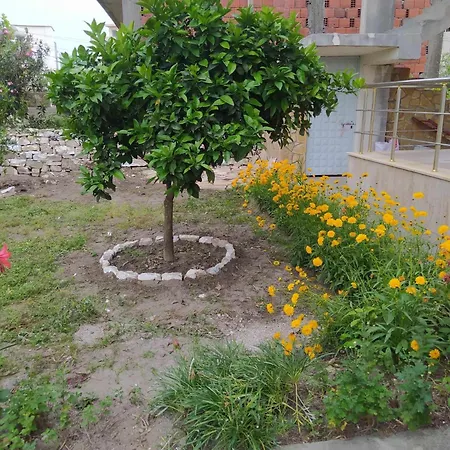 Fatmir * Vlorë