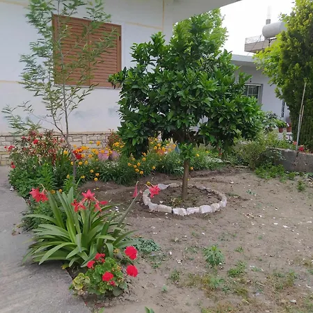 Bed & Breakfast Fatmir Vlore